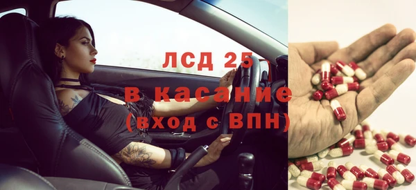 PSILOCYBIN Алзамай
