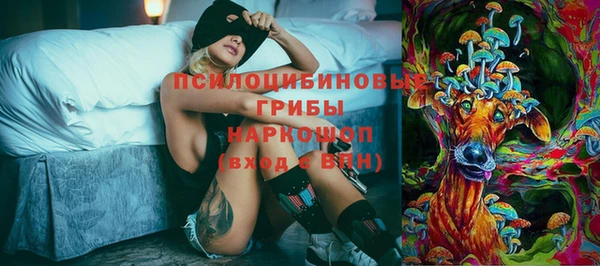 мяу мяу мука Алексин