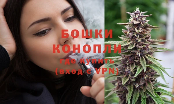 PSILOCYBIN Алзамай