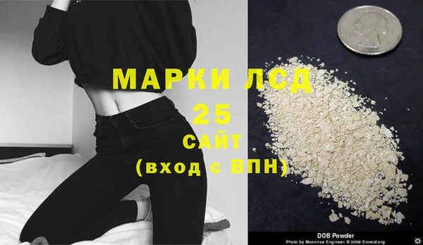 PSILOCYBIN Алзамай