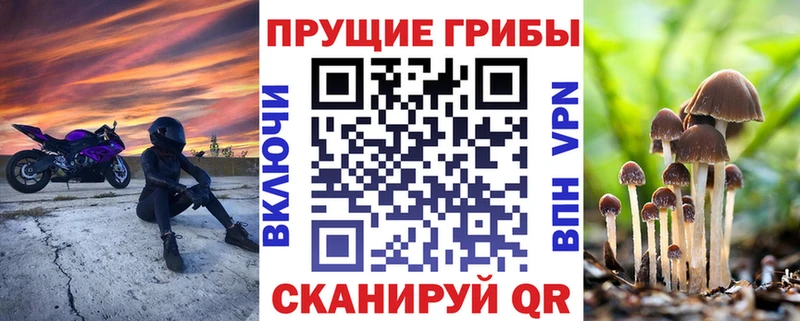 blacksprut ссылка  Константиновск  Псилоцибиновые грибы GOLDEN TEACHER 